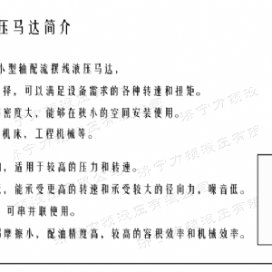 开云官方（中国）官方网站侧油口系列马达