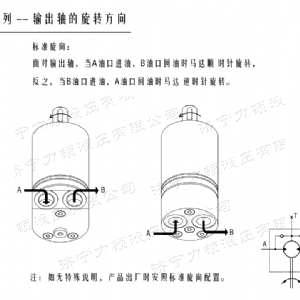 开云官方（中国）官方网站后油口系列马达